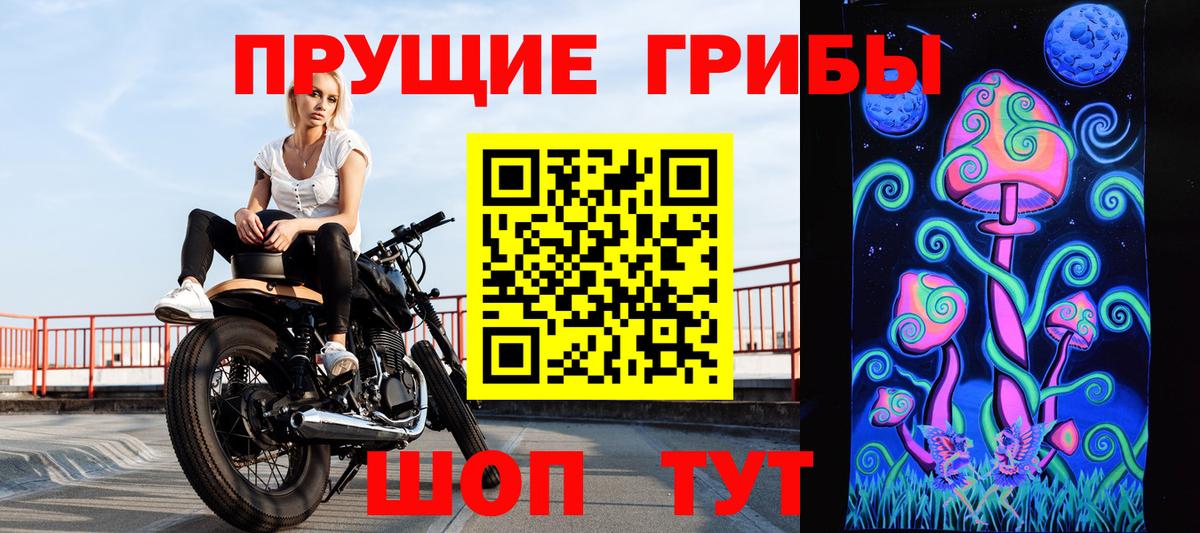 Псилоцибиновые грибы Magic Shrooms  Вход с VPN  Псилоцибиновые грибы GOLDEN TEACHER  купить закладку  Советская Гавань 