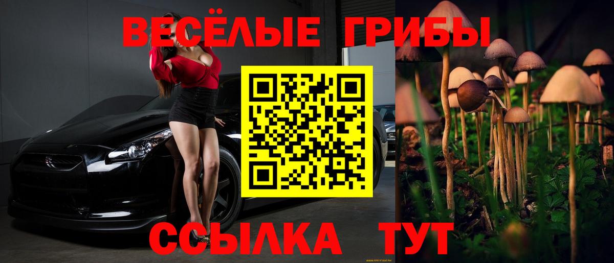 Галлюциногенные грибы MAGIC MUSHROOMS Советская Гавань